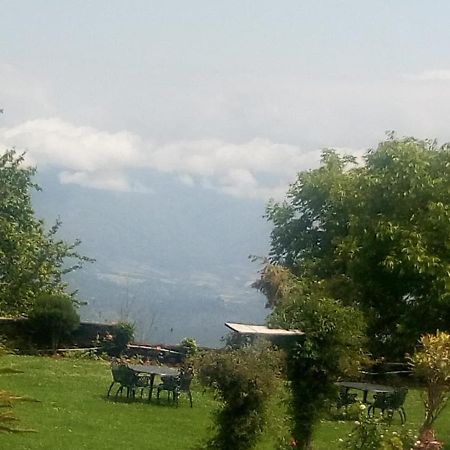 Vamoose Eco Lodge Chevron Kausani Kültér fotó